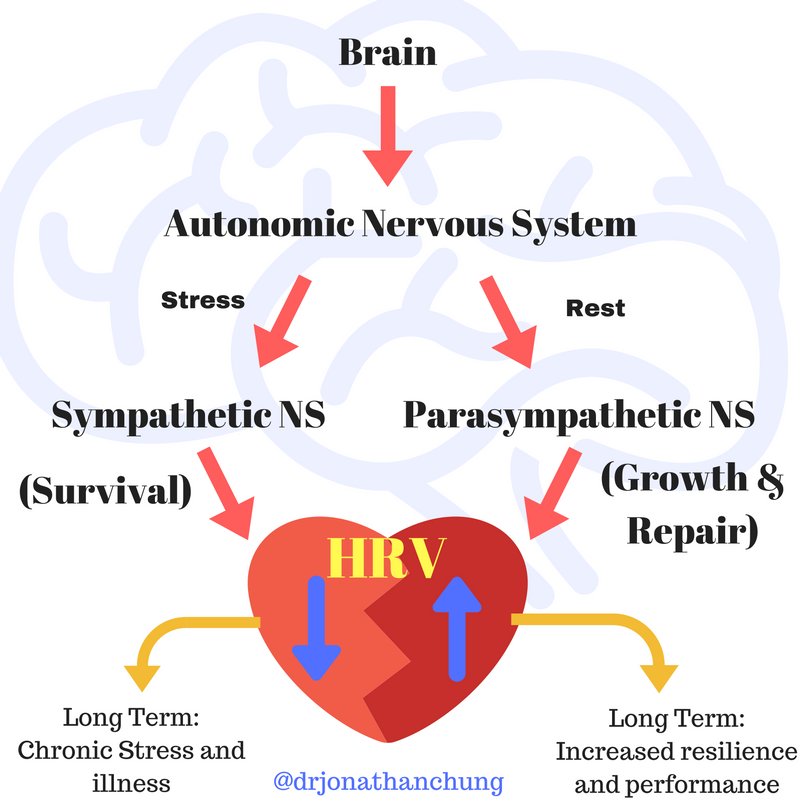 Стресс и сердце. Chronic stress and Brain. Heart rate variability. Автономик Хеарт.